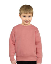 Load image into Gallery viewer, Youth Long Sleeve Fleece Sweatshirts Unisex Kids Pullover: Kelly Green / Youth Small